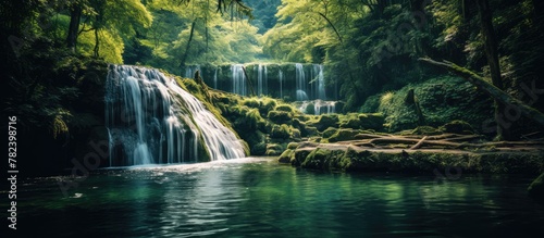A jungle cascade