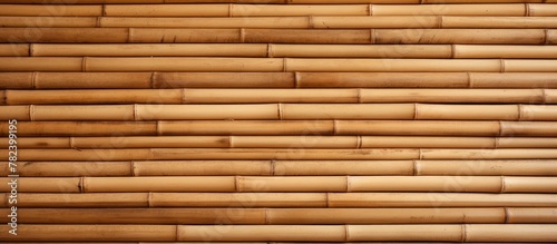 Bamboo sticks wall closeup