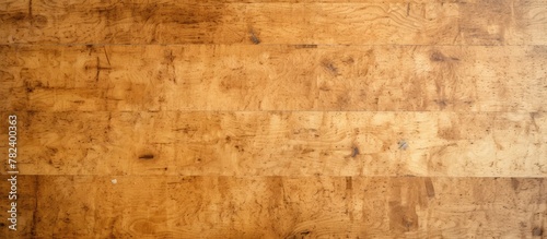 A weathered wooden plank with a dark hue