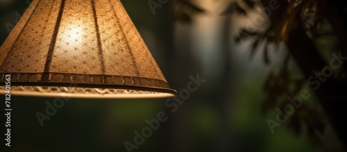 Lamp hanging from tree in d...
