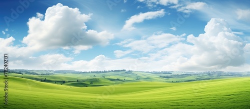 Green landscape with distant trees and cloudy sky