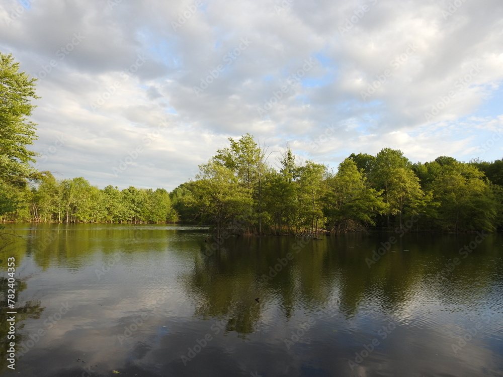 The scenic beauty of the wetlands, during the spring season, with natural reflections upon the water. Bombay Hook National Wildlife Refuge, Kent County, Delaware.