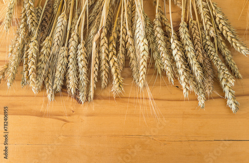 Frame of ripe wheat ears on a wooden background; copy space
