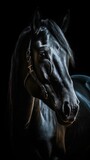 Majestic Horse Silhouette on Dark Background Generative AI