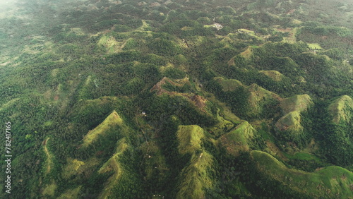 Top down mountain burnt peak grass aerial view: tropic palm trees at jungle Quitinday hills of Mayon, Philippines. Asian mountainous landscape of wild nature. Forest fires autumn concept shot © Goinyk