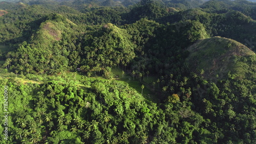 Top down jungle hill ranges aerial view with high trees  plants  grasses. Majestic wildlife nobody nature of tropical Asia. Greenery Filipino lands and mounts in cinematic drone shot