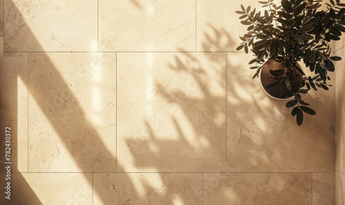 top view of the floor composed of polished travertine tiles in warm beige hues