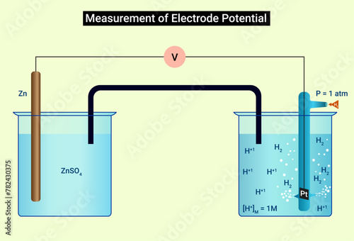 Measurement of Electrode Potential - Chemistry