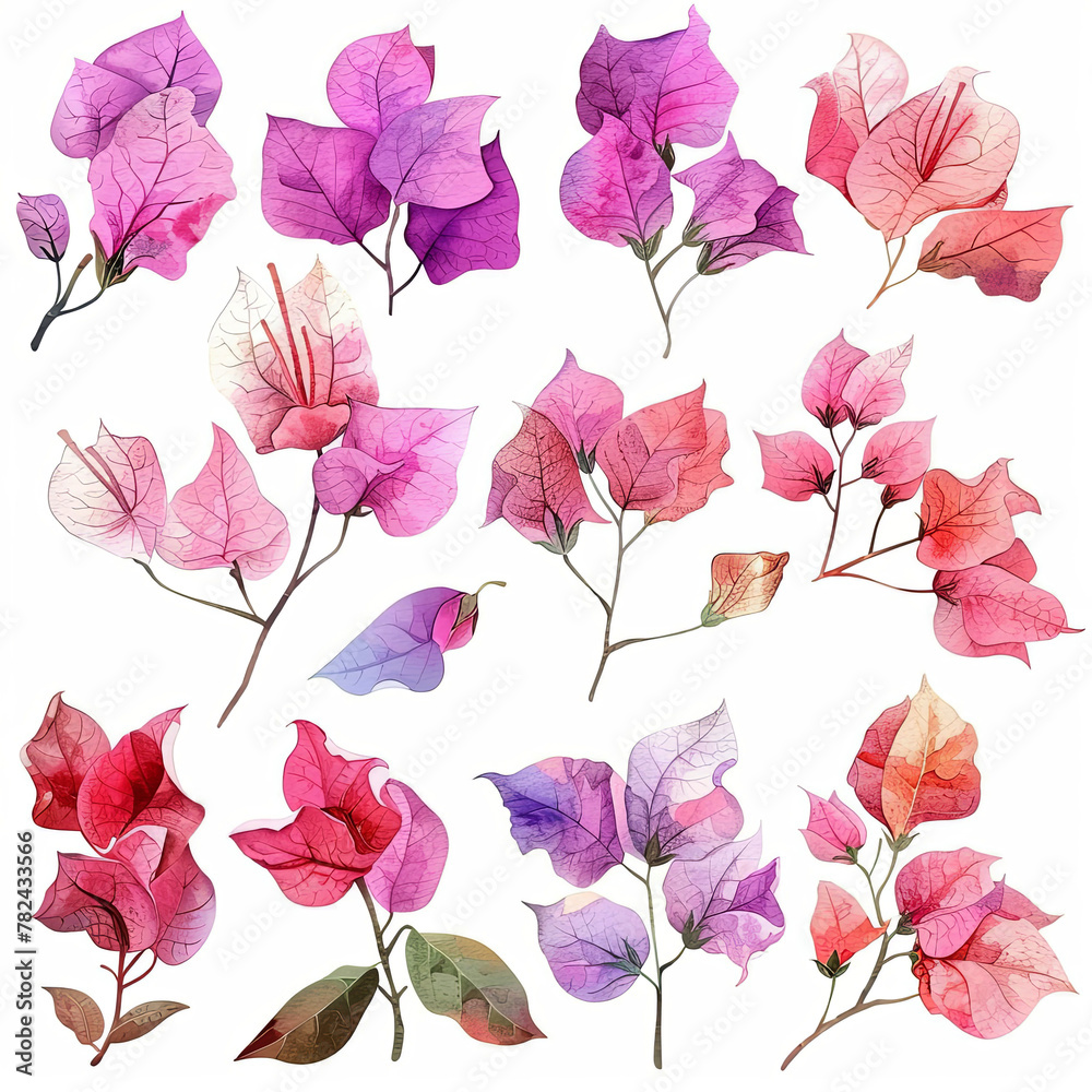 Adorable watercolor clipart set including bougainvillea bouquets, single flowers, and elements in delicate pastel shades on a white background. 