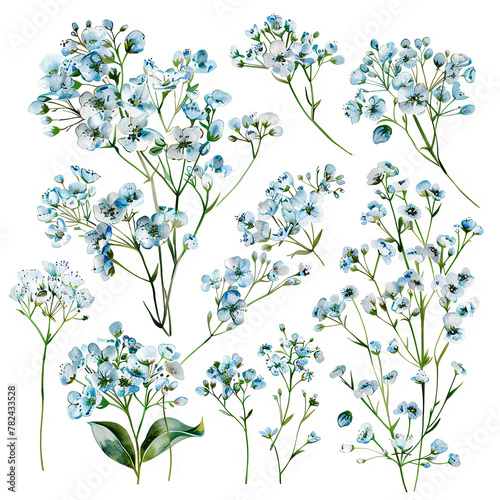 Watercolor clipart set featuring Baby's Breath bouquets, single flowers, and elements on a white background. Perfect for wedding invitations, floral designs, and artistic compositions.