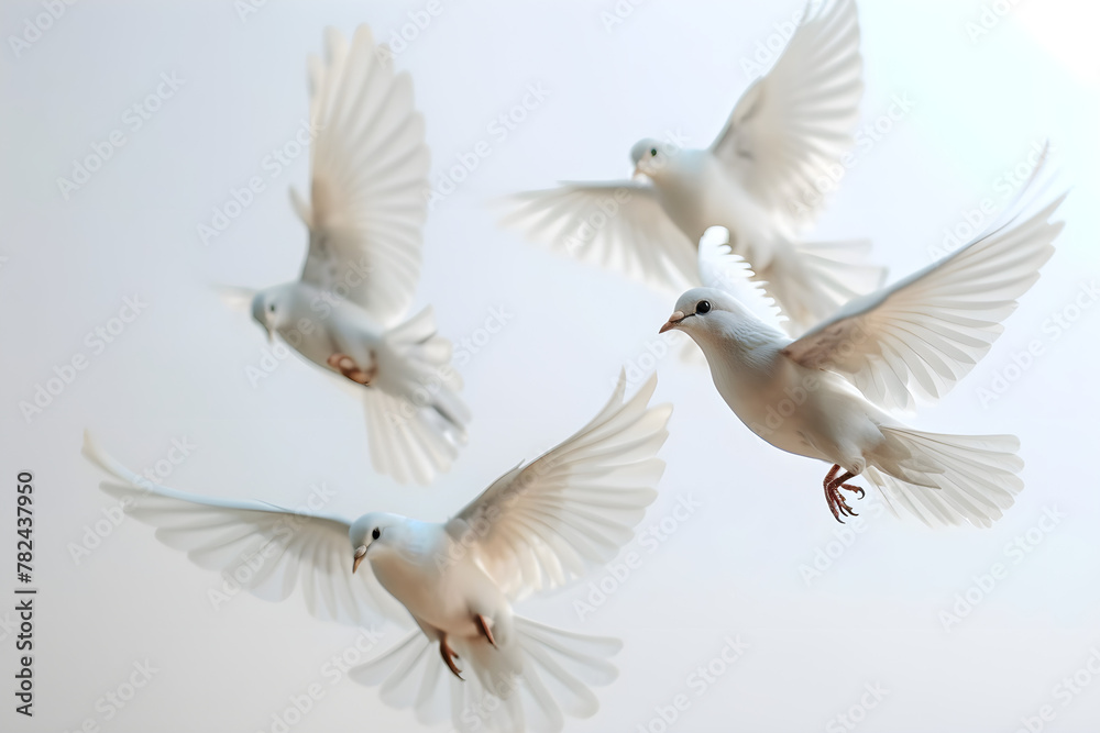 Obraz premium birds flying