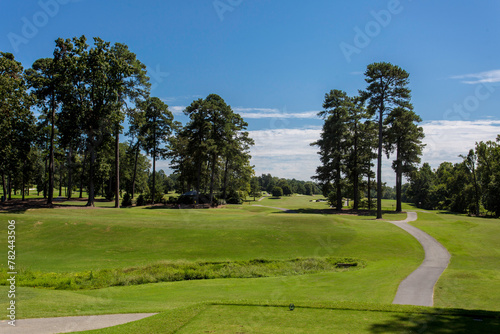 Peaceful Golf Course on A Bright Sunny Day, with A Clear Blue Sky and A Well-Manicured Path Leading Through the Green