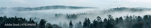 Aerial view of a mystical foggy forest, misty morning with scenic nature view