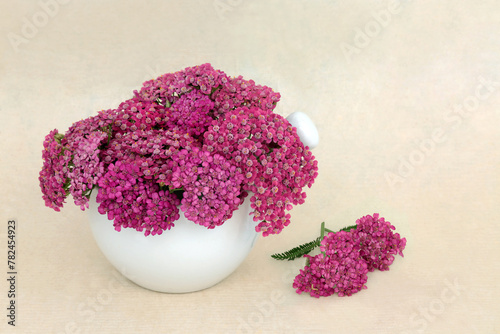 Achillea yarrow herb flower in a mortar with pestle. Used in natural herbal medicinal remedies and food decoration. Treats hemorrhoids, wounds, bloating, flatulence. On hemp paper.