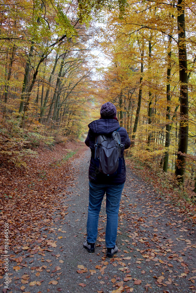 Autumn Exploration: Woman Capturing Nationalpark Nordeifel's Beauty Through Lens