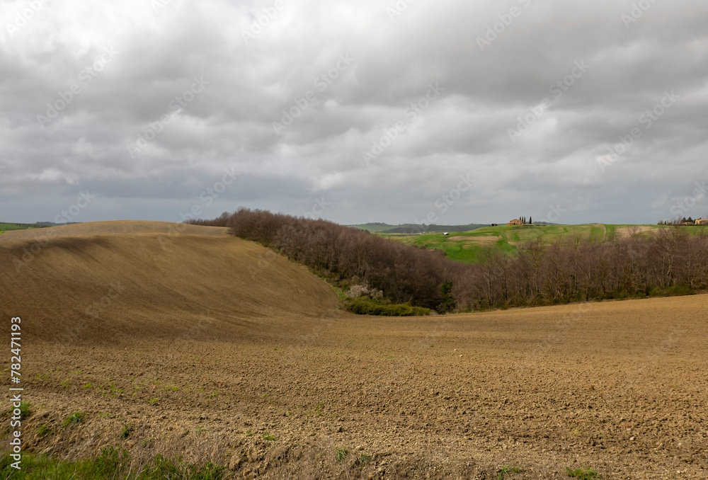 relaxing view of cultivated fields in spring