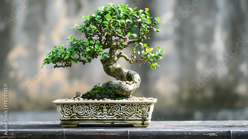 The focal point is a bonsai tree with lush green leaves. Its twisted trunk exudes character and resilience.