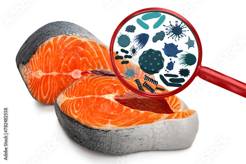 Magnifying lens with simulated germs, viruses, bacteria, food allergy concept. Salmon piece, fillet, steak. Fresh raw trout fish. Red meat seafood