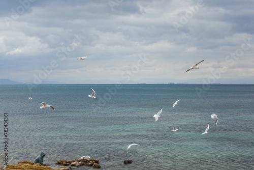 Seagulls soar gracefully over the sparkling blue sea in Athens, creating a mesmerizing sight above.