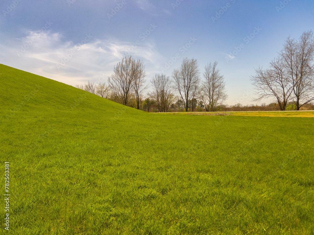 Partial view of an idyllic grassy green hill, focus on the slope of the hill to the valley. Captured during springtime. Bare trees surround the scene. Partial view of an idyllic grassy green hill, focus on the slope of the hill to the valley. Captured during springtime. Bare trees surround the scene.