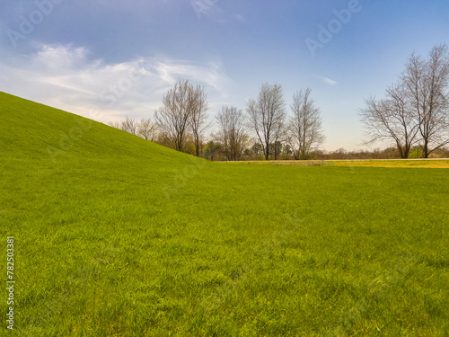 Partial view of an idyllic grassy green hill, focus on the slope of the hill to the valley. Captured during springtime. Bare trees surround the scene.