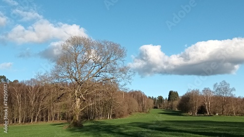 Pradera en la provincia de Lugo, Galicia