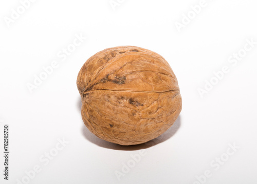 Walnuts are rounded, single-seeded stone fruits of the walnut tree. Tricuspid walnut.