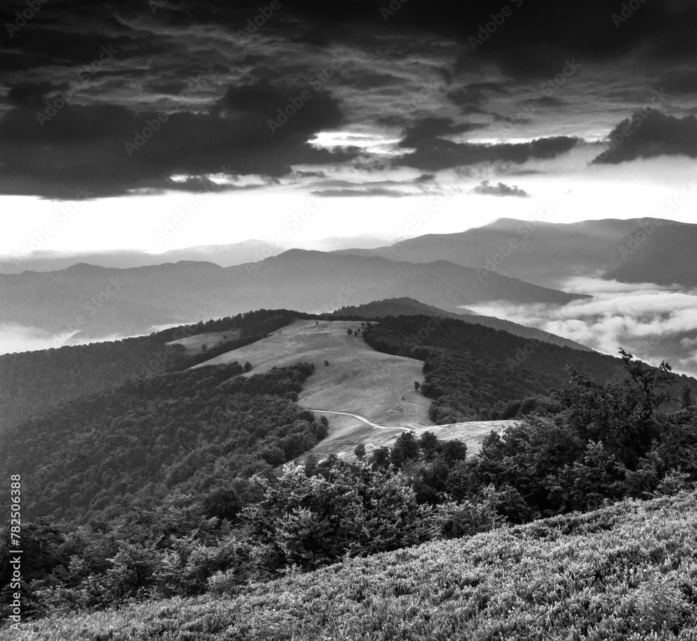 Carpathian mountains, Ukraine, Europe, amazing panoramic summer scenery, black - white  image