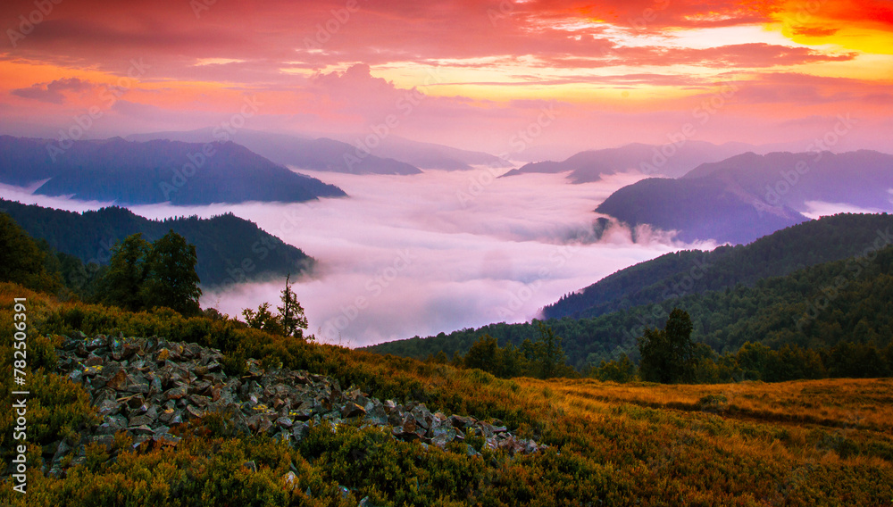 Carpathian mountains, Ukraine, Europe, amazing panoramic summer scenery Carpathian mountains, Ukraine, Europe, amazing panoramic summer scenery