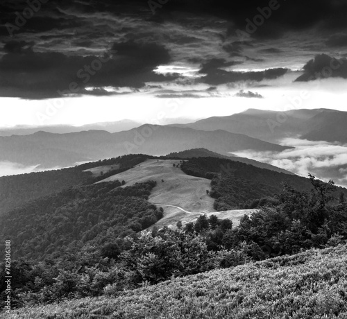 Carpathian mountains, Ukraine, Europe, amazing panoramic summer scenery, black - white image