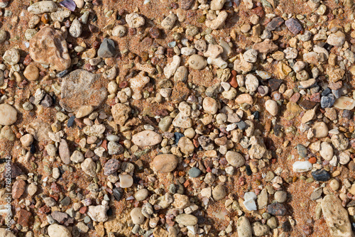 Fototapeta Naklejka Na Ścianę i Meble -  The coastline of the Red Sea. Sand, pebbles, corals, fossils. Background with a marine theme.