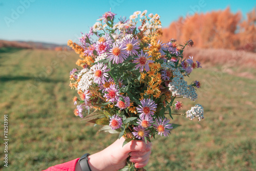 Bukiet polnych kwiatów | Bouquet of the wild flowers