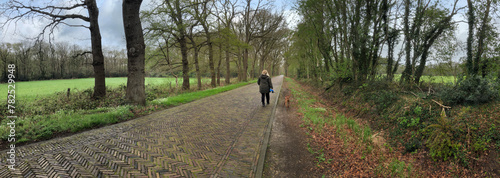 Walking the dog. Going for a stroll. Street at Rheebruggen Uffelte Drenthe Netherlands. Panorama. Stroller. 
