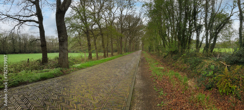 Street at Rheebruggen Uffelte Drenthe Netherlands. Panorama.