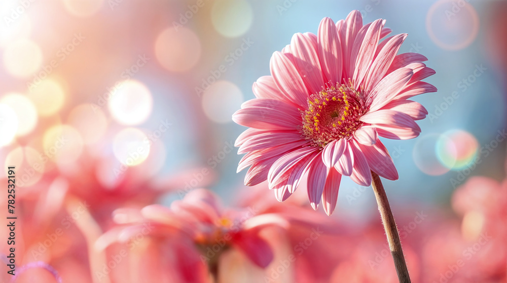 Close-up of a pink gerbera daisy with soft, dreamy background - Generative AI