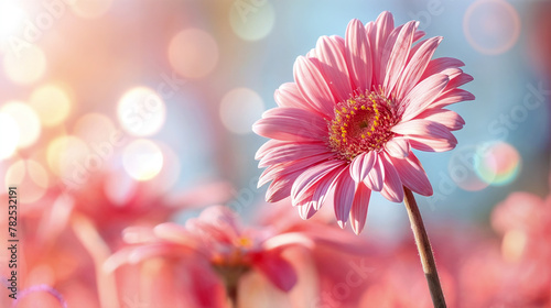 Close-up of a pink gerbera daisy with soft  dreamy background - Generative AI