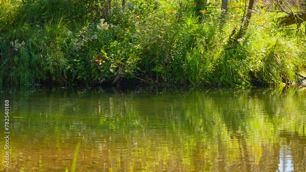 Blue Jay Creek river connected to Michael's Bay, Lake Huron, Manitoulin Island. Travel and exploration, recreational activities fishing, boating, and birdwatching along the riverbanks and in the bay. Blue Jay Creek river connected to Michael's Bay, Lake Huron, Manitoulin Island. Travel and exploration, recreational activities fishing, boating, and birdwatching along the riverbanks and in the bay.