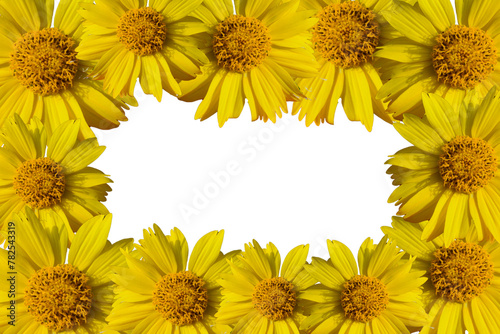 Fototapeta Naklejka Na Ścianę i Meble -  yellow flowers border. yellow flowers frame on transparent background