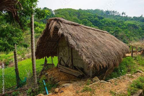 Original village thatched house in Chubao Village, Wuzhishan City, Hainan, China photo