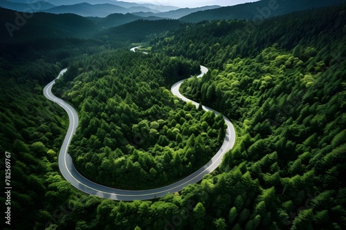 Aerial Panorama of Serpentine Rainy Forest Road beautiful amazing seen pic
