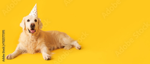 Adorable golden retriever in party hat on yellow background