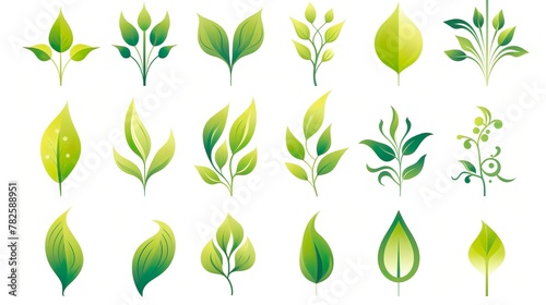 A vibrant assemblage of green leaf designs ideal for applications in nature-themed graphic artworks and environmental branding photo