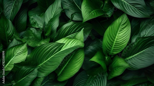 Close-up image capturing the intricate patterns of fresh, vibrant green leaves in a densely packed arrangement