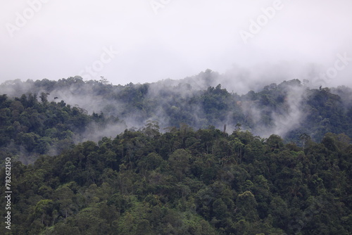 fog in the mountains batang ai borneo malaysia photo