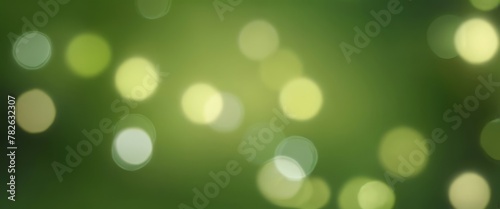 green bokeh lights with blur park background