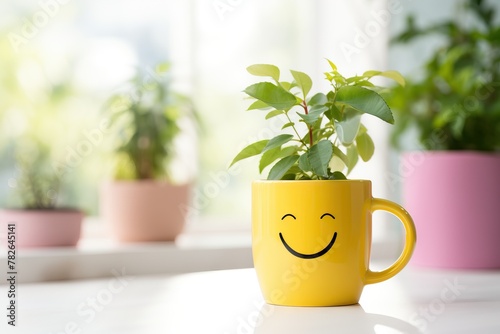 Small plant in cute funny pot with smiling face on blurred background with copy space. Potted house plant. Cozy decor. Home gardening concept