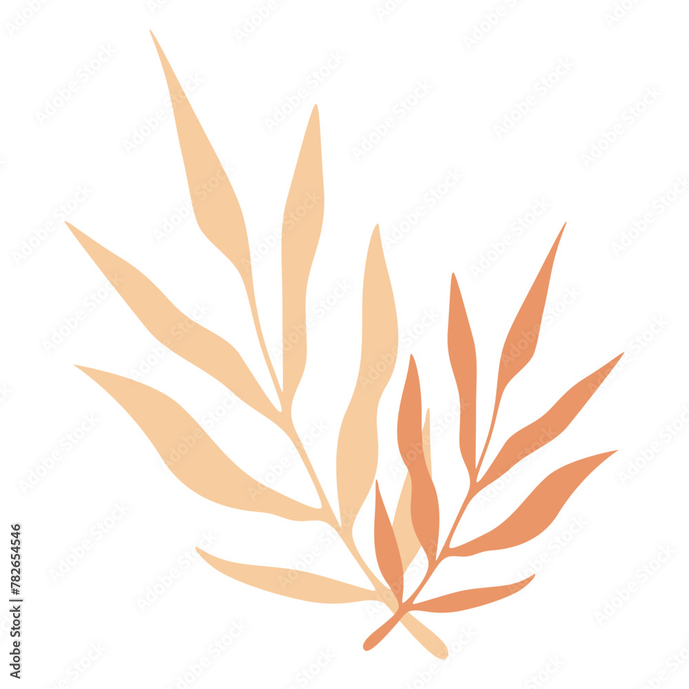 Aesthetic Leaf Illustration Aesthetic Leaf Illustration