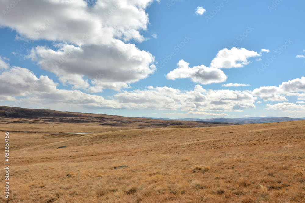 Endless hilly steppe with dried grass at the foot of a high mountain range under a cloudy sky on an autumn day.