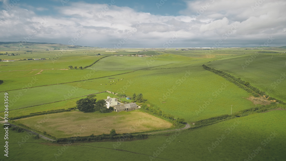 Green farmland at fields, pastures aerial. Cottages with barns at greenery grasses meadow with farm animals. Greenness valley of Scotland countryside, Arran Island. Cinematic rural scenery concept