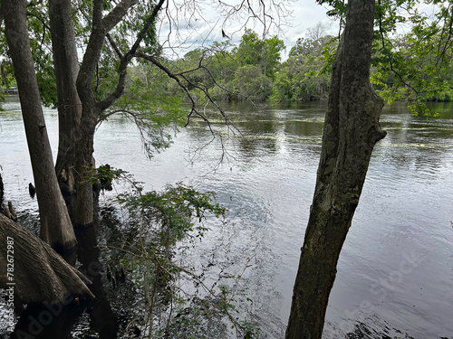 Suwannee River photo
